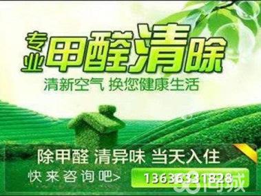 母嬰甲醛治理服務工裝家裝除甲醛工廠,空氣凈化提供甲醛檢測、汽車除醛、甲醛治理/除甲醛服務